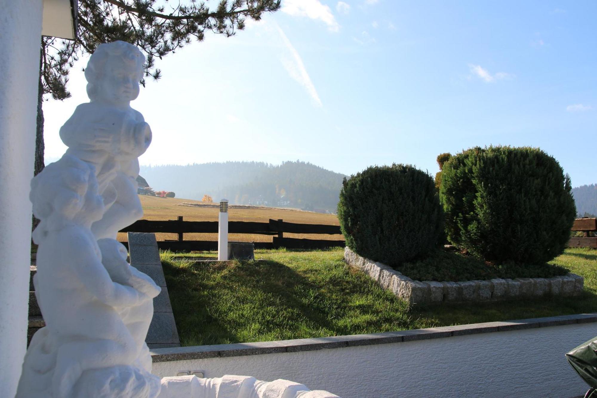 Luxus-Landhaus Im Schwarzwald/Baiersbronn Mit Pool Exteriér fotografie