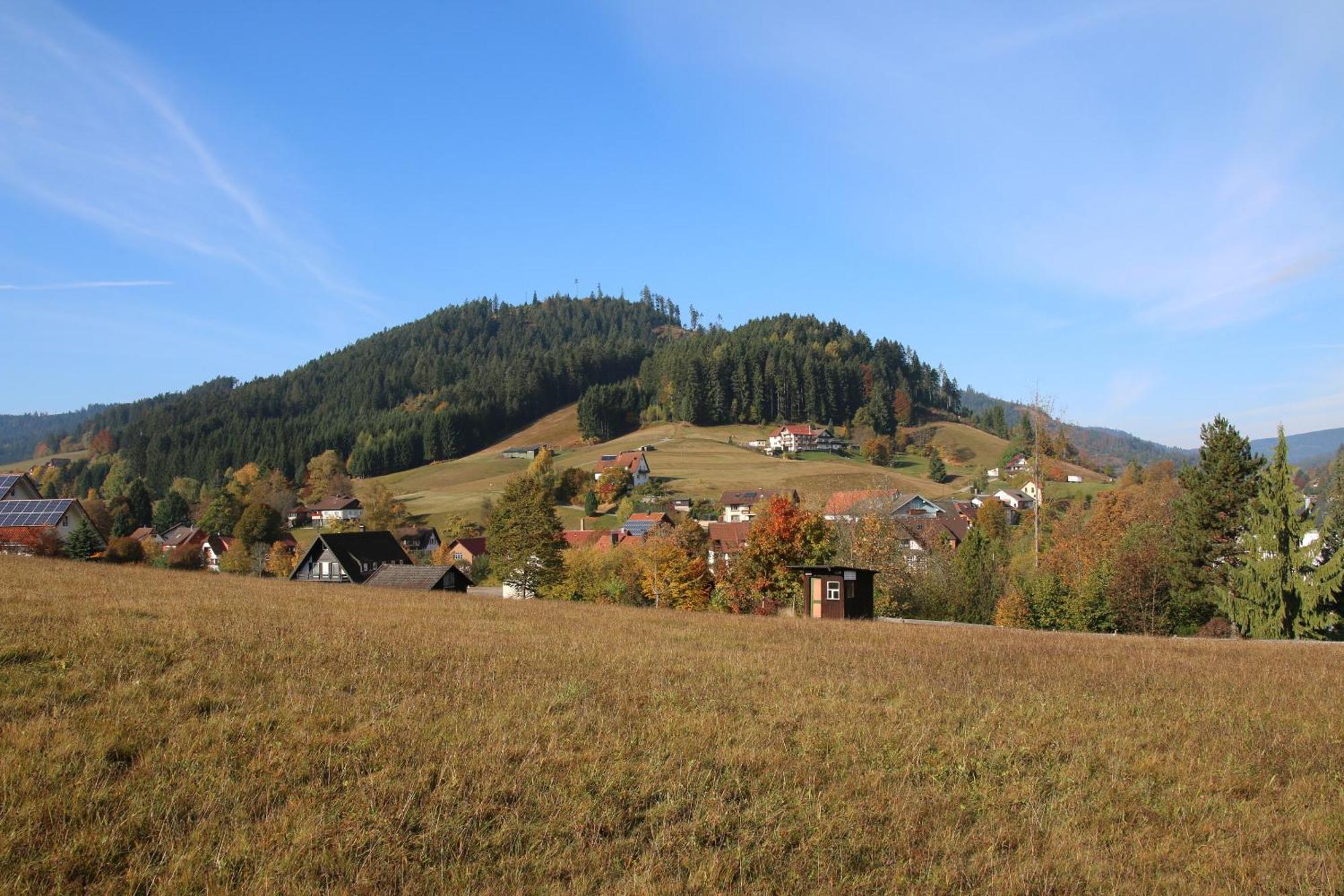 Luxus-Landhaus Im Schwarzwald/Baiersbronn Mit Pool Exteriér fotografie
